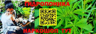 спайс Рыбинск
