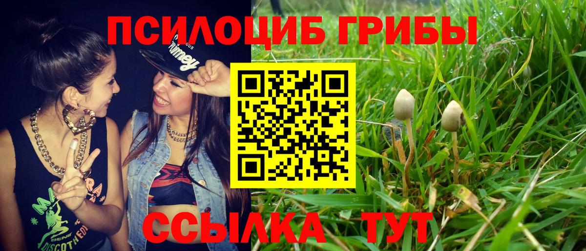 Галлюциногенные грибы мухоморы Пушкино
